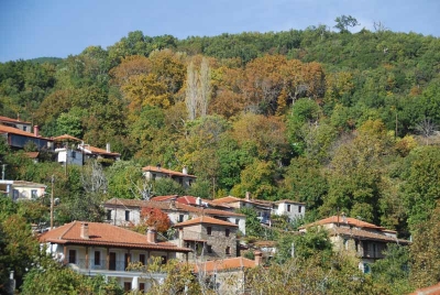 &Alpha;&pi;&omicron;&chi;&alpha;&iota;&rho;&epsilon;&tau;&iota;&sigma;&tau;ή&rho;&iota;&omicron; &Gamma;&lambda;έ&nu;&tau;&iota; &sigma;&tau;&omicron; &Mu;&epsilon;&gamma;&alpha;&lambda;ό&beta;&rho;&upsilon;&sigma;&omicron; &Alpha;&gamma;&iota;ά&sigmaf;